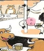Image of "Udder Stuff"