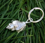 Image of Sterling conch shell