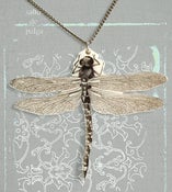Image of ::Libélula::