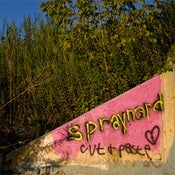Image of Spraynard "Cut and Paste" LP