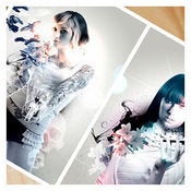 Image of The Guns and Flowers Series