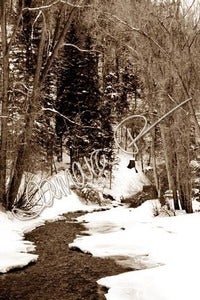 Image of Winter Wonderland Puzzle
