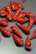 Image of Vintage Shells