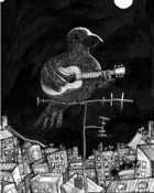 Image of Bird Postcard