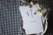 Image of collection calendar