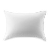 Image of Pillow Insert 12" x 16" 