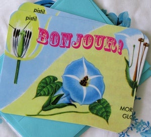 Image of bonjour morning glory! {set of 6 flat notes}
