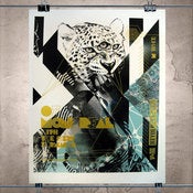 Image of Of Montreal Poster