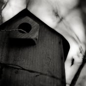 Image of Birdhouse