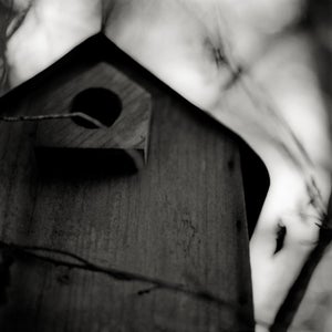 Image of Birdhouse