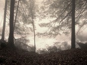 Image of Roeth #3