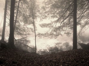 Image of Roeth #3