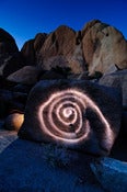 Image of Joshua Tree