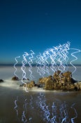 Image of Night Lights #1