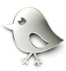 Image of Silver Chirpy Bird Brooch