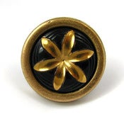 Image of Starburst