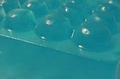 Image of 4 oz Mystery Bar - Natural Bath Soap