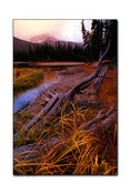 Image of Erics Landscape #1