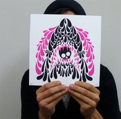 Image of Jaws