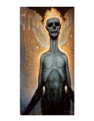 Image of ENLIGHTENMENT *SPECIAL COLLECTOR'S EDITION*