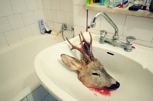 Image of Untitled (deer)