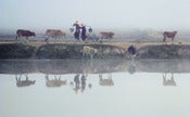 Image of Different Directions, Menghun, China