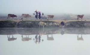 Image of Different Directions, Menghun, China