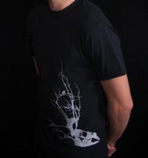 Image of Deciduous
