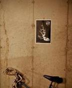 Image of Deciduous Poster