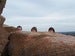 Image of Weird Weeds - Hold Me LP