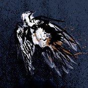 Image of Hope Collapse | Year Of The Leper