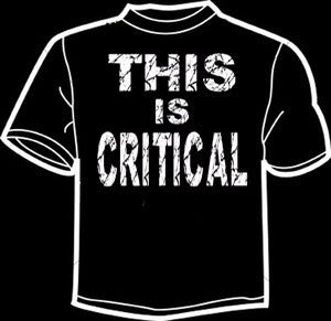 Image of THIS IS CRITICAL Design