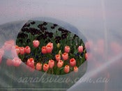 Image of Stock Photography