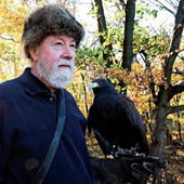 Image of American Draft-"Hawk"   CD