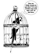 Image of Polly