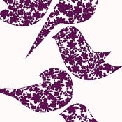 Image of Wren