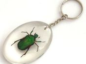Image of Bug KeyRing FRUIT BEETLE