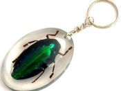 Image of Bug KeyRing  JEWEL BEETLE