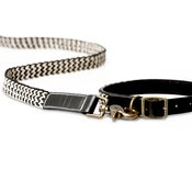 Image of BEST IN PARK Normandy Collar & Lead Set 