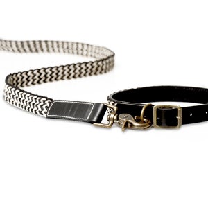 Image of BEST IN PARK Normandy Collar & Lead Set