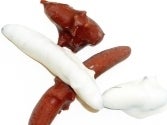 Image of Chocolate Flavoured Dipped Bugs