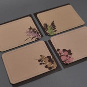Image of Botanicals :: Set of 4