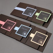 Image of Dandelion :: Set of 5