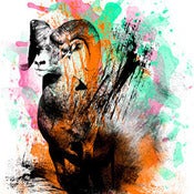 Image of Color Collision