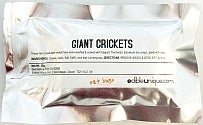 Image of Fried Giant Crickets 