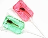 Image of Scorpion Suckers