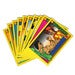 Image of "RAD DUDES" TRADING CARDS - PACIFIC 1990