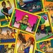 Image of "RAD DUDES" TRADING CARDS - PACIFIC 1990