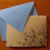 Image of blackbirds
