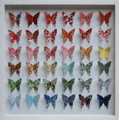 Image of Japanese Yuzen - 50x50cm
